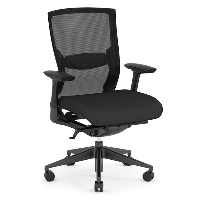 Performance 3702 TASK CHAIR - BLACK FRAME, EBONY SEAT BLKSM60999BLN04
