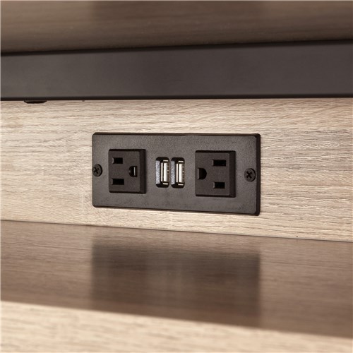 Power Module with 2 Power and 2 USB Outlets, 1 Daisy Chain
