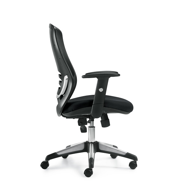 OTG11685B
