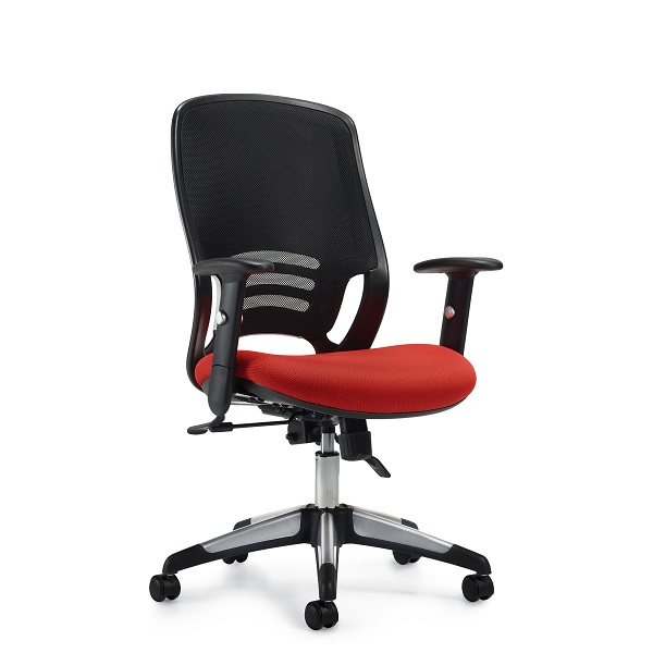 OTG11685B
