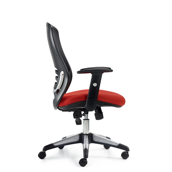 OTG11685B