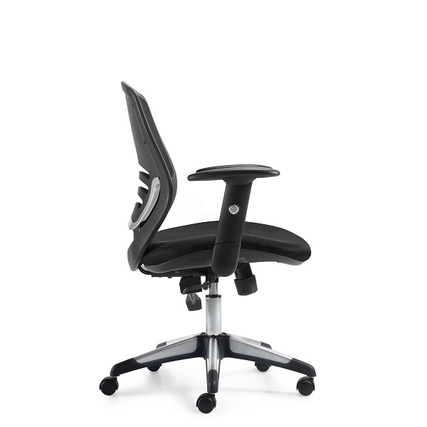 OTG11686B